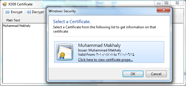 X509 Certificate